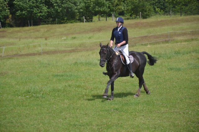 reitertag 2013 200